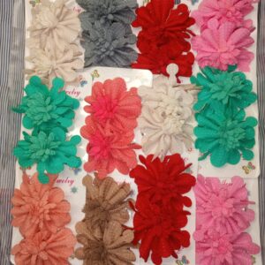 2 Pieces of  hair pins for girls fancy